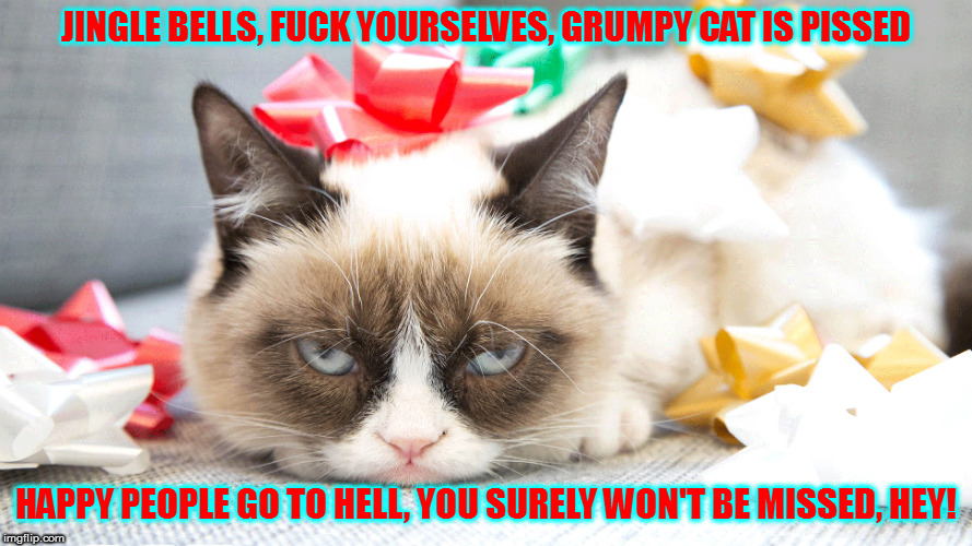 Humbug | JINGLE BELLS, FUCK YOURSELVES, GRUMPY CAT IS PISSED; HAPPY PEOPLE GO TO HELL, YOU SURELY WON'T BE MISSED, HEY! | image tagged in memes,grumpy cat christmas,jingle bells | made w/ Imgflip meme maker