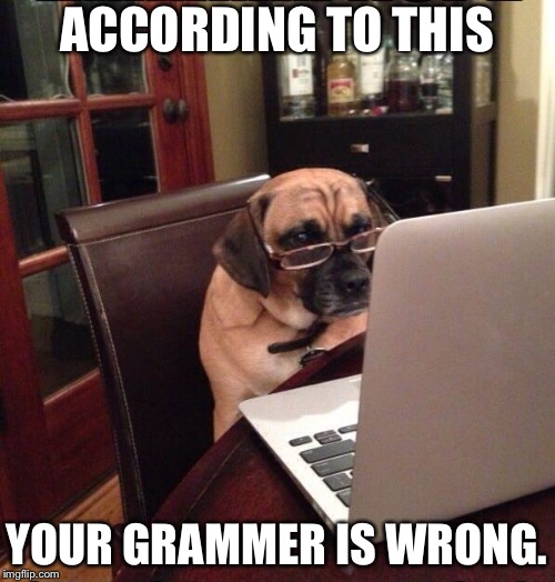 Computer Dog | ACCORDING TO THIS; YOUR GRAMMER IS WRONG. | image tagged in computer dog | made w/ Imgflip meme maker