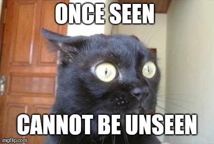 Cannot Be Unseen Cat | ONCE SEEN CANNOT BE UNSEEN | image tagged in cannot be unseen cat | made w/ Imgflip meme maker