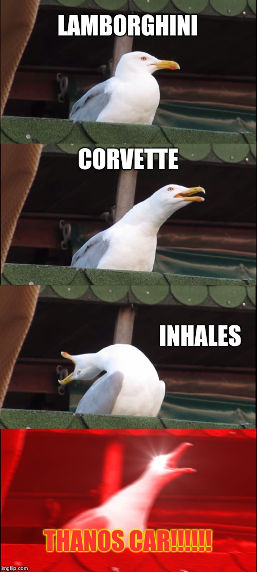 Inhaling Seagull Meme | LAMBORGHINI; CORVETTE; INHALES; THANOS CAR!!!!!! | image tagged in memes,inhaling seagull | made w/ Imgflip meme maker