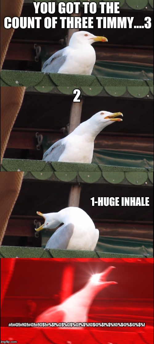 Inhaling Seagull | YOU GOT TO THE COUNT OF THREE TIMMY....3; 2; 1-HUGE INHALE; #!#@!#!@!#@!#!@$!#%$!%@$%@$%@!%$%!@$@%$!%$%!@%$@%$@%$%! | image tagged in memes,inhaling seagull | made w/ Imgflip meme maker