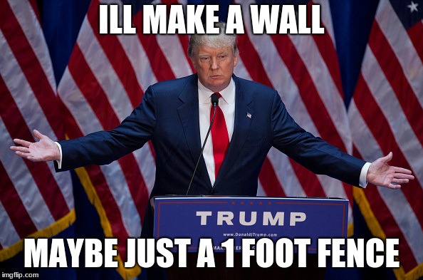 Donald Trump | ILL MAKE A WALL; MAYBE JUST A 1 FOOT FENCE | image tagged in donald trump | made w/ Imgflip meme maker