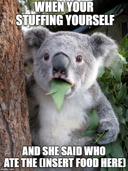 Surprised Koala Meme | WHEN YOUR STUFFING YOURSELF; AND SHE SAID WHO ATE THE (INSERT FOOD HERE) | image tagged in memes,surprised koala | made w/ Imgflip meme maker