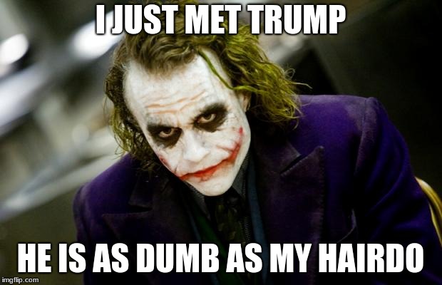 why so serious joker | I JUST MET TRUMP; HE IS AS DUMB AS MY HAIRDO | image tagged in why so serious joker | made w/ Imgflip meme maker