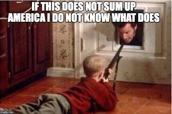 Home Alone | IF THIS DOES NOT SUM UP AMERICA I DO NOT KNOW WHAT DOES | image tagged in home alone | made w/ Imgflip meme maker