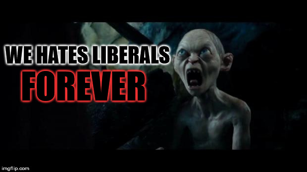 We hates it forever | WE HATES LIBERALS FOREVER | image tagged in we hates it forever | made w/ Imgflip meme maker