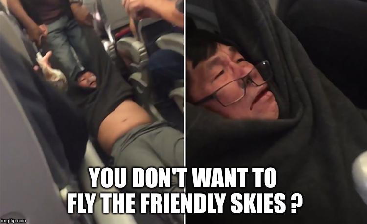 United Airlines | YOU DON'T WANT TO FLY THE FRIENDLY SKIES ? | image tagged in united airlines | made w/ Imgflip meme maker
