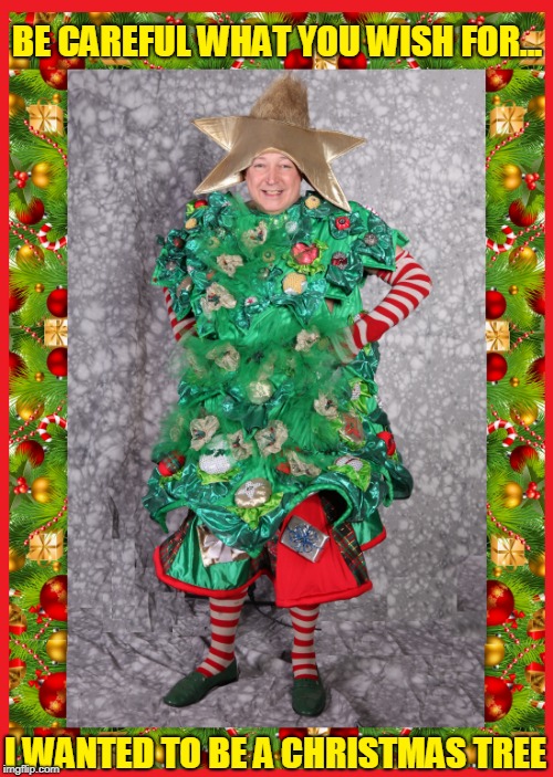 Here's the Picture for a Song I Wrote | BE CAREFUL WHAT YOU WISH FOR... I WANTED TO BE A CHRISTMAS TREE | image tagged in vince vance,christmas tree,i wanna be a christmas tree,merry christmas,christmas tree costume,presents under the tree | made w/ Imgflip meme maker