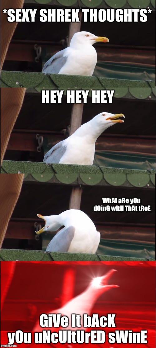 SeAgUll WiLl eND yOU rEEE | *SEXY SHREK THOUGHTS*; HEY HEY HEY; WhAt aRe yOu dOinG wItH ThAt tReE; GiVe It bAcK yOu uNcUltUrED sWinE | image tagged in memes,inhaling seagull,funny memes,christmas,anxiety,dankbirb | made w/ Imgflip meme maker