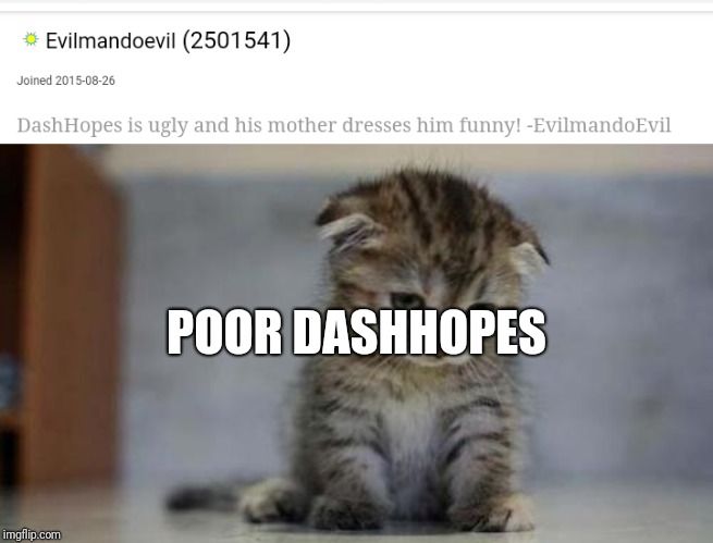 POOR DASHHOPES | image tagged in sad kitten | made w/ Imgflip meme maker