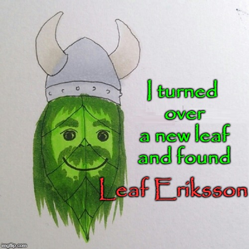 Leaf Ericksson | I turned over a new leaf and found; Leaf Eriksson | image tagged in vince vance,leif eriksson,vikings,leaf ericksson | made w/ Imgflip meme maker
