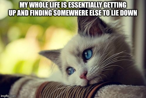 Stay | MY WHOLE LIFE IS ESSENTIALLY GETTING UP AND FINDING SOMEWHERE ELSE TO LIE DOWN | image tagged in memes,first world problems cat,lie down,cat,cats | made w/ Imgflip meme maker