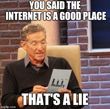 Maury Lie Detector Meme | YOU SAID THE INTERNET IS A GOOD PLACE; THAT'S A LIE | image tagged in memes,maury lie detector | made w/ Imgflip meme maker