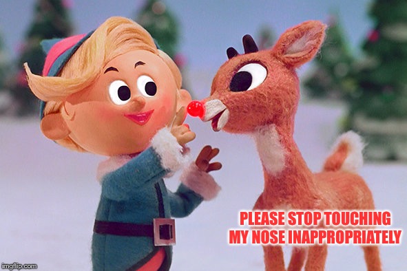 Rudolph  | PLEASE STOP TOUCHING MY NOSE INAPPROPRIATELY | image tagged in rudolph | made w/ Imgflip meme maker