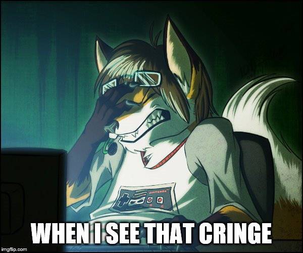 Furry facepalm | WHEN I SEE THAT CRINGE | image tagged in furry facepalm | made w/ Imgflip meme maker