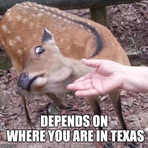 nope | DEPENDS ON WHERE YOU ARE IN TEXAS | image tagged in nope | made w/ Imgflip meme maker