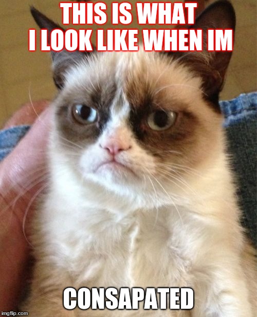 Grumpy Cat Meme | THIS IS WHAT I LOOK LIKE WHEN IM; CONSAPATED | image tagged in memes,grumpy cat | made w/ Imgflip meme maker