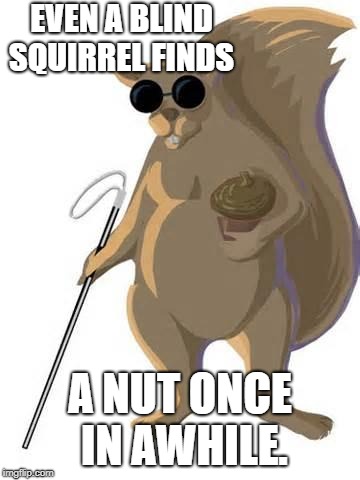 blind squirrel | EVEN A BLIND SQUIRREL FINDS A NUT ONCE IN AWHILE. | image tagged in blind squirrel | made w/ Imgflip meme maker