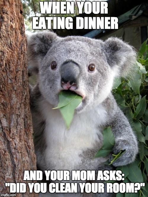 Surprised Koala Meme | WHEN YOUR EATING DINNER; AND YOUR MOM ASKS: "DID YOU CLEAN YOUR ROOM?" | image tagged in memes,surprised koala | made w/ Imgflip meme maker