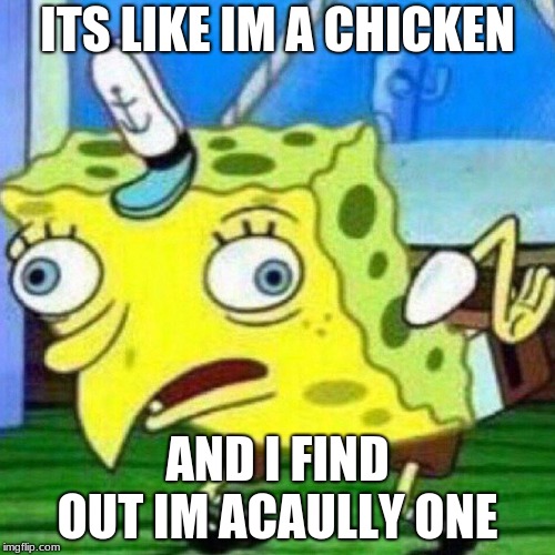 Spoungebob | ITS LIKE IM A CHICKEN; AND I FIND OUT IM ACAULLY ONE | image tagged in spoungebob | made w/ Imgflip meme maker