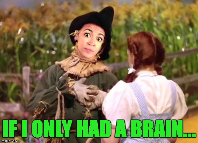 I wouldn't be as funny, but I'd still spend all your money, if I only hadda brain..  | IF I ONLY HAD A BRAIN... | image tagged in ocassio-cortez,wizard of oz,scarecrow,if i only had a brain | made w/ Imgflip meme maker