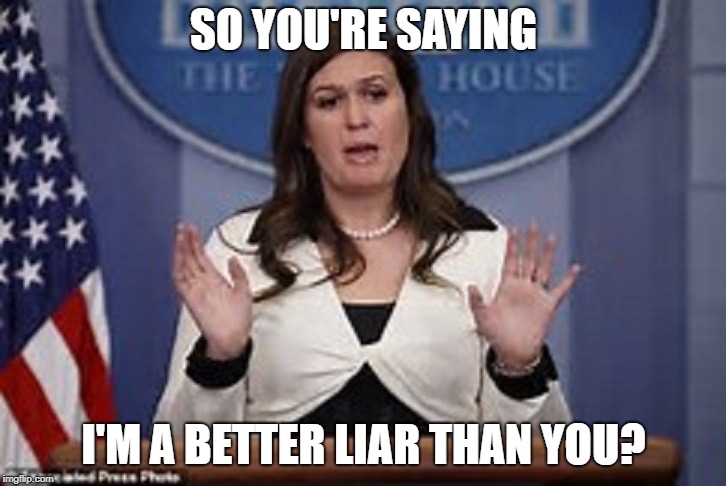 sarah huckabee sanders  | SO YOU'RE SAYING I'M A BETTER LIAR THAN YOU? | image tagged in sarah huckabee sanders | made w/ Imgflip meme maker