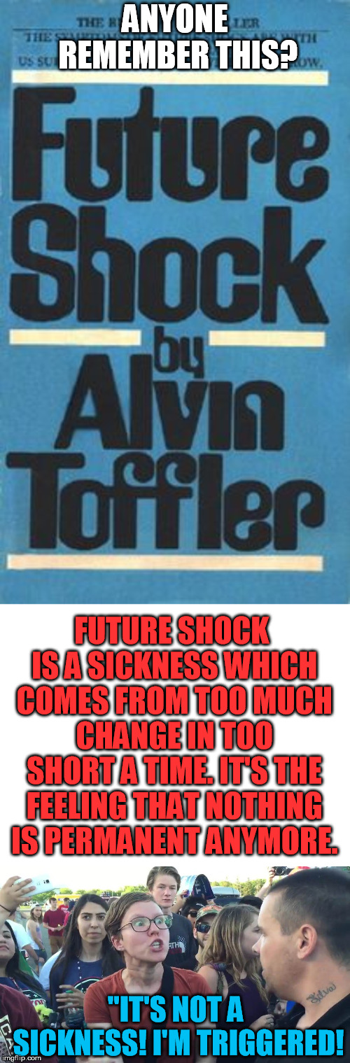 Now is the Future | ANYONE REMEMBER THIS? FUTURE SHOCK IS A SICKNESS WHICH COMES FROM TOO MUCH CHANGE IN TOO SHORT A TIME. IT'S THE FEELING THAT NOTHING IS PERMANENT ANYMORE. "IT'S NOT A SICKNESS! I'M TRIGGERED! | image tagged in blank white template,sjw lightbulb,future shock | made w/ Imgflip meme maker