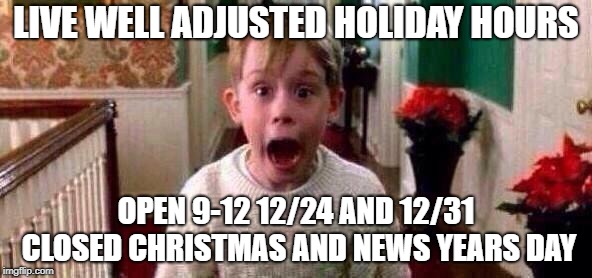 Christmas | LIVE WELL ADJUSTED HOLIDAY HOURS; OPEN 9-12 12/24 AND 12/31 CLOSED CHRISTMAS AND NEWS YEARS DAY | image tagged in christmas | made w/ Imgflip meme maker