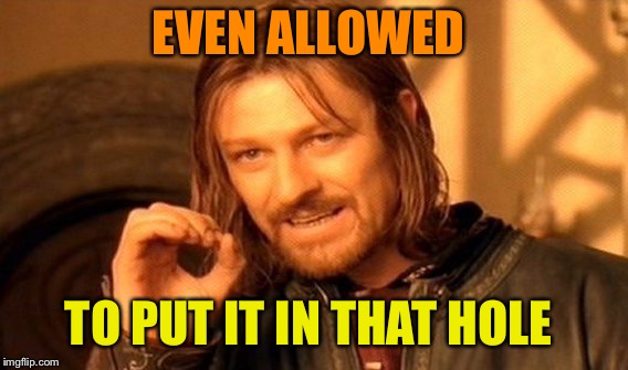 One Does Not Simply Meme | EVEN ALLOWED TO PUT IT IN THAT HOLE | image tagged in memes,one does not simply | made w/ Imgflip meme maker