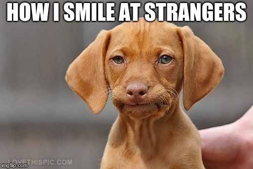 Umm dog | HOW I SMILE AT STRANGERS | image tagged in umm dog | made w/ Imgflip meme maker