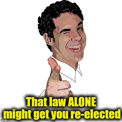 wink | That law ALONE might get you re-elected | image tagged in wink | made w/ Imgflip meme maker