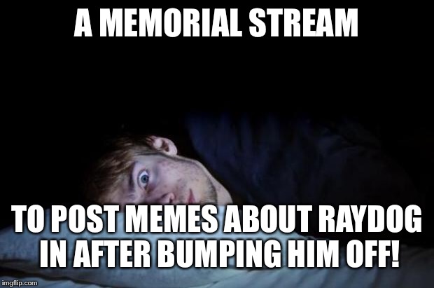 Insomnia | A MEMORIAL STREAM TO POST MEMES ABOUT RAYDOG IN AFTER BUMPING HIM OFF! | image tagged in insomnia | made w/ Imgflip meme maker
