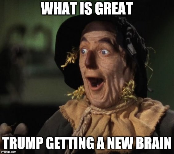 what is great | WHAT IS GREAT; TRUMP GETTING A NEW BRAIN | image tagged in straw man - what a great idea,trump getting a new brain,trump,funny meme,funny memes,meme | made w/ Imgflip meme maker