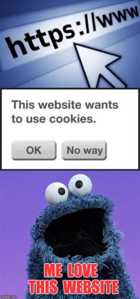 Every time I see the cookie warning ... | ME  LOVE  THIS  WEBSITE | image tagged in cookie monster,cookies,cookie,website,websites,sesame street | made w/ Imgflip meme maker