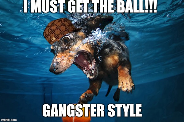 I MUST GET THE BALL!!! GANGSTER STYLE | image tagged in scumbag | made w/ Imgflip meme maker