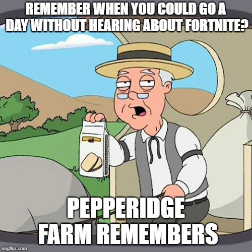 Pepperidge Farm Remembers | REMEMBER WHEN YOU COULD GO A DAY WITHOUT HEARING ABOUT FORTNITE? PEPPERIDGE FARM REMEMBERS | image tagged in memes,pepperidge farm remembers | made w/ Imgflip meme maker