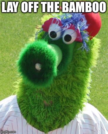 Philli Phanatic | LAY OFF THE BAMBOO | image tagged in philli phanatic | made w/ Imgflip meme maker