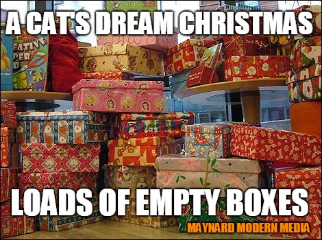 Presents | A CAT'S DREAM CHRISTMAS; LOADS OF EMPTY BOXES; MAYNARD MODERN MEDIA | image tagged in presents | made w/ Imgflip meme maker