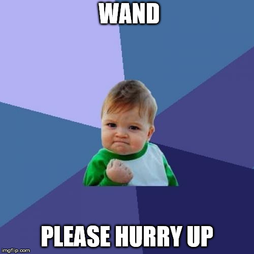 WAND  | WAND; PLEASE HURRY UP | image tagged in memes,success kid | made w/ Imgflip meme maker