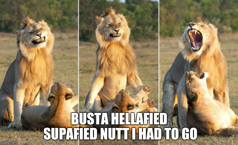 lion heart | BUSTA HELLAFIED SUPAFIED NUTT I HAD TO GO | image tagged in bust a nut | made w/ Imgflip meme maker