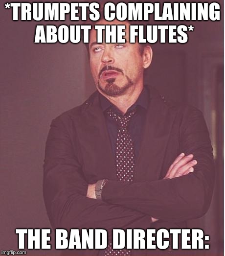 Face You Make Robert Downey Jr | *TRUMPETS COMPLAINING ABOUT THE FLUTES*; THE BAND DIRECTER: | image tagged in memes,face you make robert downey jr | made w/ Imgflip meme maker