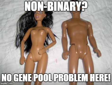 NON-BINARY? NO GENE POOL PROBLEM HERE! | image tagged in non-binary | made w/ Imgflip meme maker