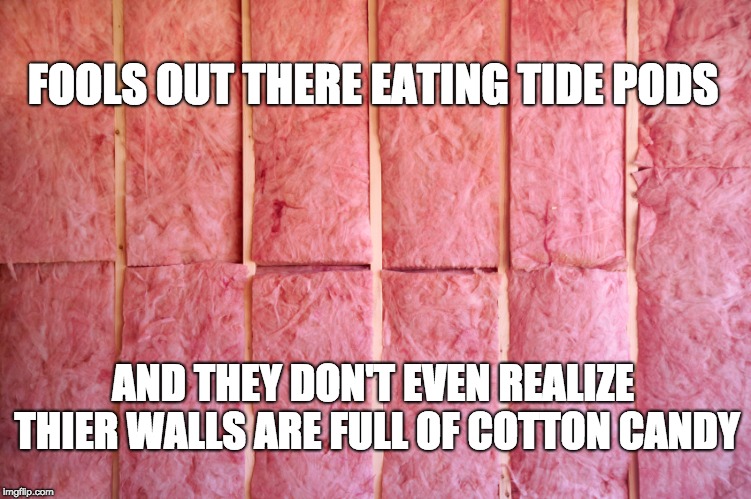 Insulation | FOOLS OUT THERE EATING TIDE PODS; AND THEY DON'T EVEN REALIZE THIER WALLS ARE FULL OF COTTON CANDY | image tagged in insulation | made w/ Imgflip meme maker