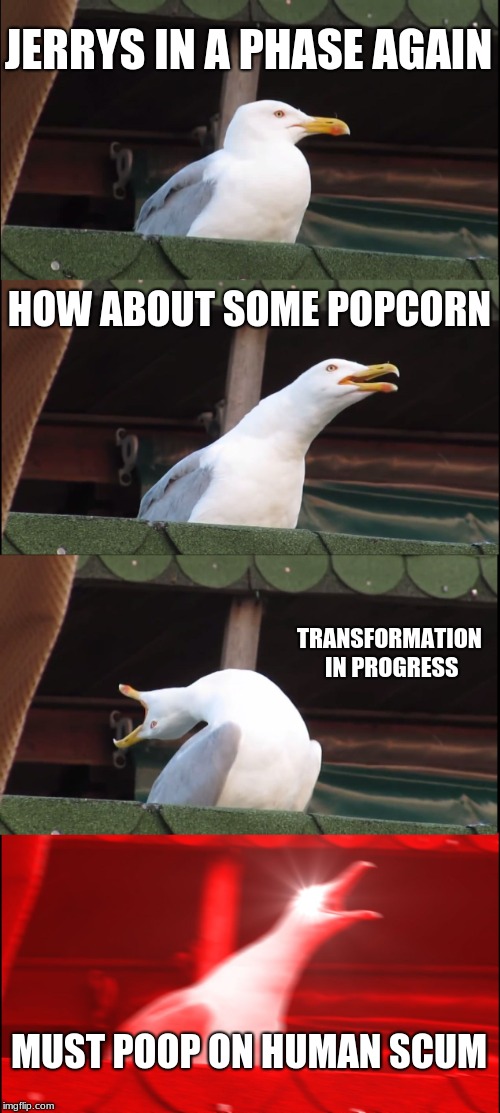 Inhaling Seagull | JERRYS IN A PHASE AGAIN; HOW ABOUT SOME POPCORN; TRANSFORMATION IN PROGRESS; MUST POOP ON HUMAN SCUM | image tagged in memes,inhaling seagull | made w/ Imgflip meme maker