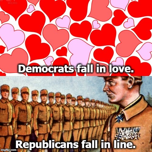 Even when their retirement accounts start hemorrhaging, the GOP keeps marching along. | Democrats fall in love. Republicans fall in line. | image tagged in democrats,republicans,love,line up,march | made w/ Imgflip meme maker
