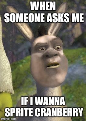 WHEN SOMEONE ASKS ME; IF I WANNA SPRITE CRANBERRY | image tagged in shrek | made w/ Imgflip meme maker