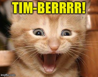 Excited Cat Meme | TIM-BERRRR! | image tagged in memes,excited cat | made w/ Imgflip meme maker