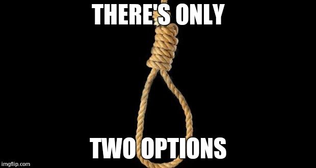 lynch rope | THERE'S ONLY TWO OPTIONS | image tagged in lynch rope | made w/ Imgflip meme maker