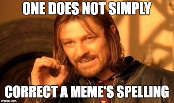 One Does Not Simply Meme | ONE DOES NOT SIMPLY CORRECT A MEME'S SPELLING | image tagged in memes,one does not simply | made w/ Imgflip meme maker