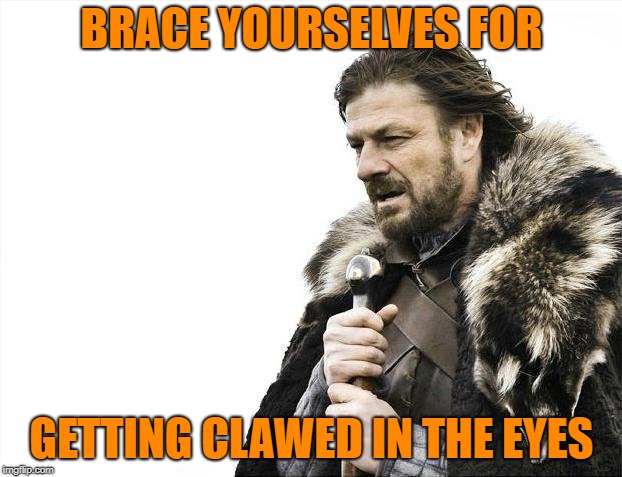 Brace Yourselves X is Coming Meme | BRACE YOURSELVES FOR GETTING CLAWED IN THE EYES | image tagged in memes,brace yourselves x is coming | made w/ Imgflip meme maker